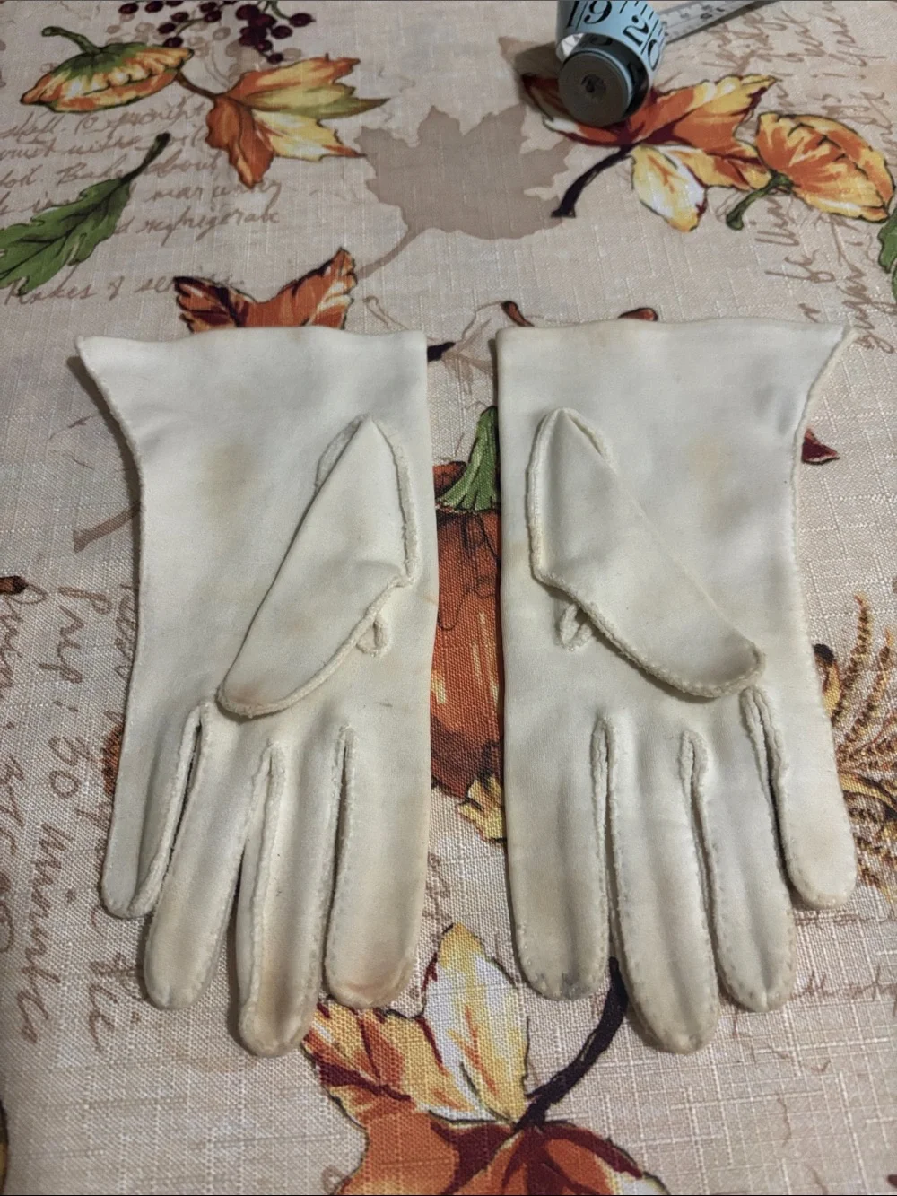 Vintage Cream Embroidered Women's Gloves